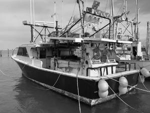 45ft Fiberglass Long Liner - 15308