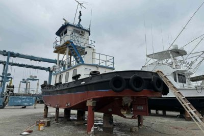 Single Screw 300HP photo