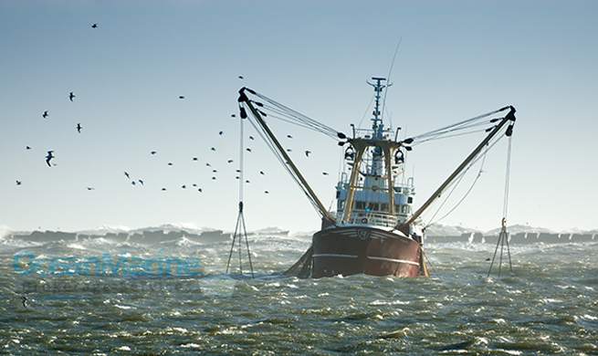 Commercial Fishing Boats For Sale