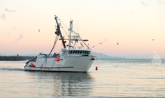 Commercial Boat Brokers