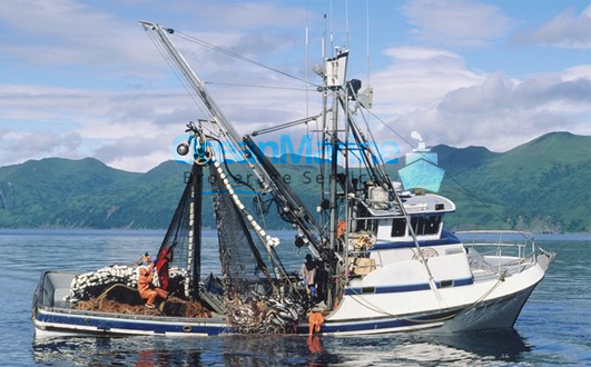 Should You Buy Commercial Fishing Vessels For Sale Online Or Locally?