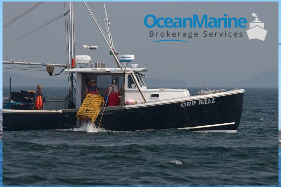 Purchase Commercial Fishing Boats