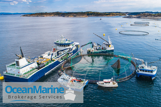 The Best Way To Find Used Work Boats For Sale