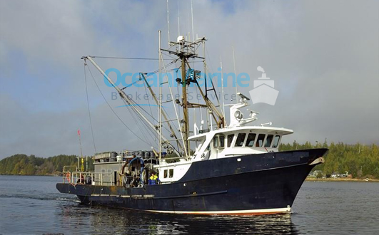 Different Types of Used Commercial Ships For Sale