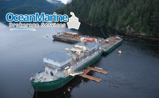 How to Identify Reliable Ship Or Vessel Brokers